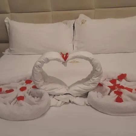 Palma Hotel 3*